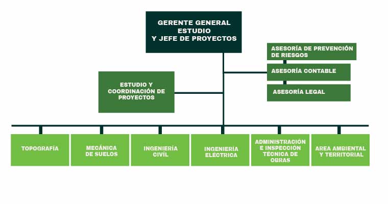 GERENTE ORGANIGRAMA