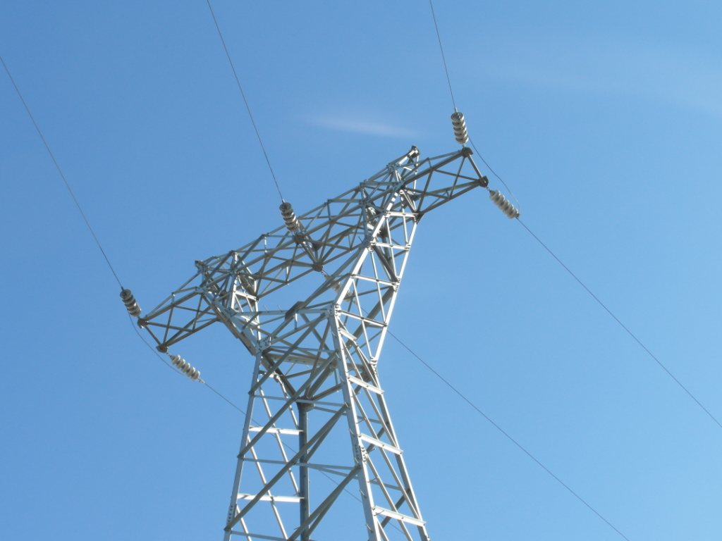 EST-49-FOTO-2